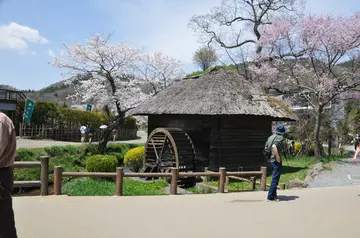 美丽的乡村作文（《乡村的风光》）