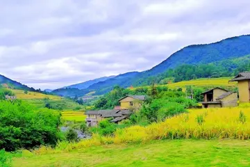 乡村的秋天作文（《乡村的风光》）