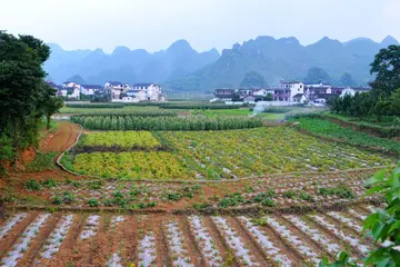 乡村的四季作文（《乡村的风光》）