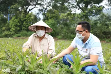 校长我想对你说作文600字范文（慷慨付出）