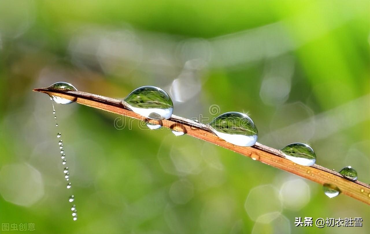 诗经秋露白露四首（白露二十四节气古诗大全）