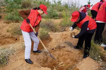 辛勤劳动的快乐时光作文（幸福的源泉）