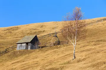 关于家乡的美景作文（《迷人的家乡》）