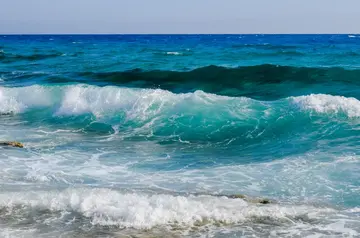 美丽的大海作文（《大海的风景》）