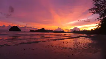 夜晚的大海作文(《大海的景色》）