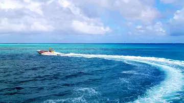 拥抱大海的作文(《大海的风景》）