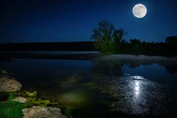 家乡的夜晚作文(《夜晚的景色》）