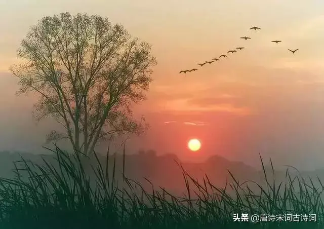 黄昏诗词佳句大全（十句诗词话夕阳）