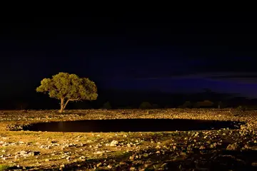 美丽的夜晚作文(《城市的夜晚》）