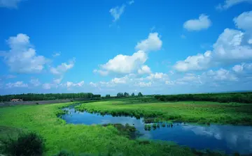 呼伦贝尔草原的作文（《草原的美景》）