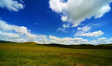 草原的景色作文（《草原的美景》）