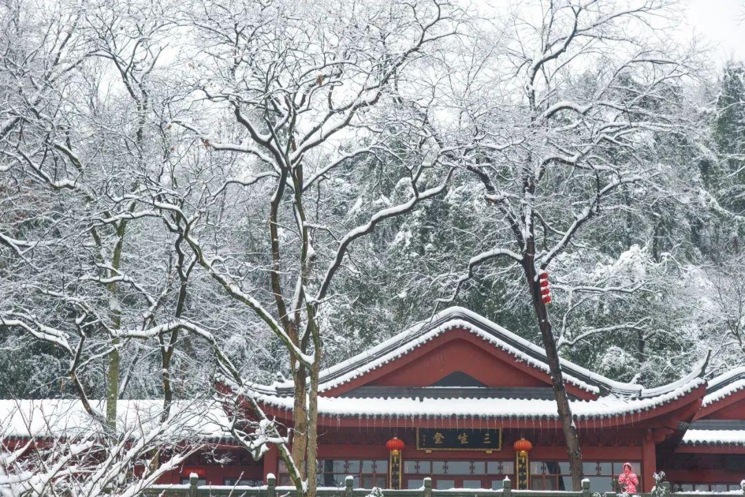 春雪诗词大全唯美（10首春雪诗词）