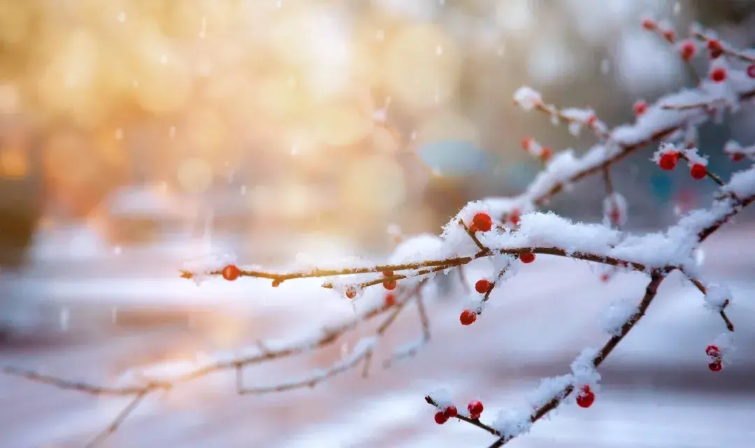 咏雪诗词鉴赏（精选8首咏雪诗词）