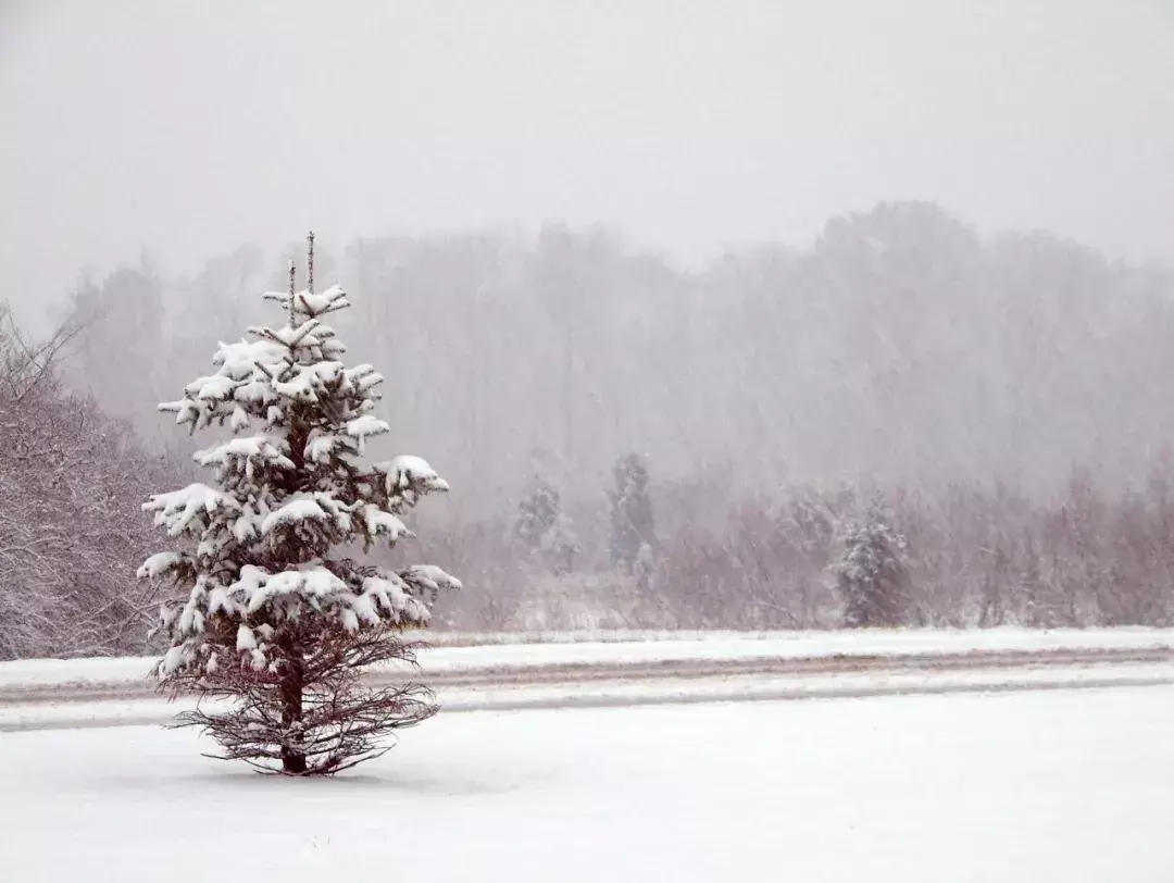 大雪诗词句古诗大全（10首大雪诗词）