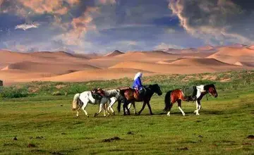 内蒙古的草原作文（《家乡的草原》）