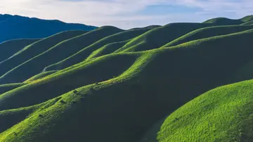 若尔盖草原的作文（《家乡的草原》）