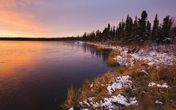 冬天的美景作文（《冬日的美景》）