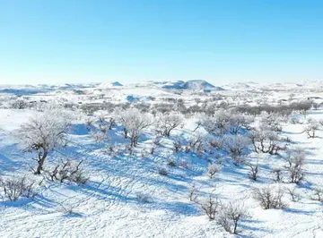 冬天的美景作文（《秋天的美景》）