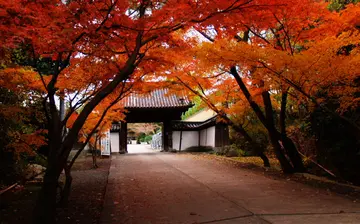 校园的美景作文（《家乡的美景》）