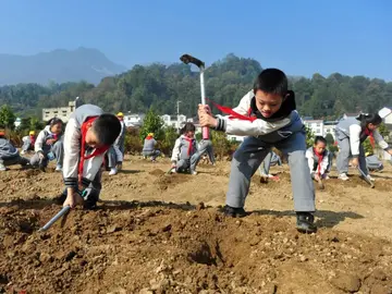 劳动带来快乐作文优秀（让人身心愉悦）