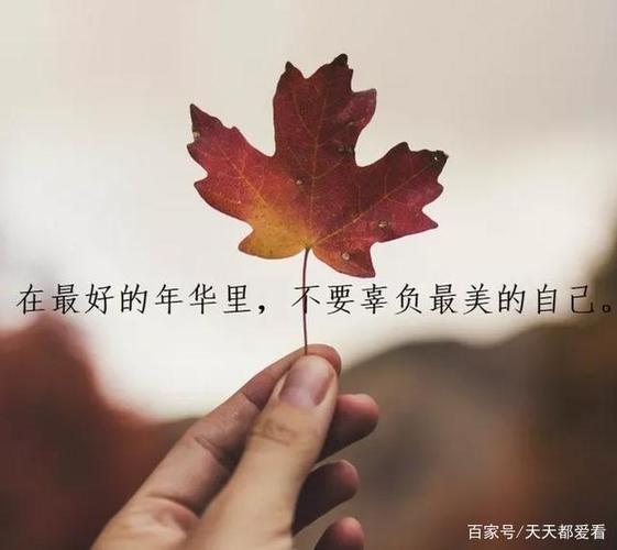 朋友圈说说好句子大全经典有气质内涵短句（朋友圈的哲理短句）