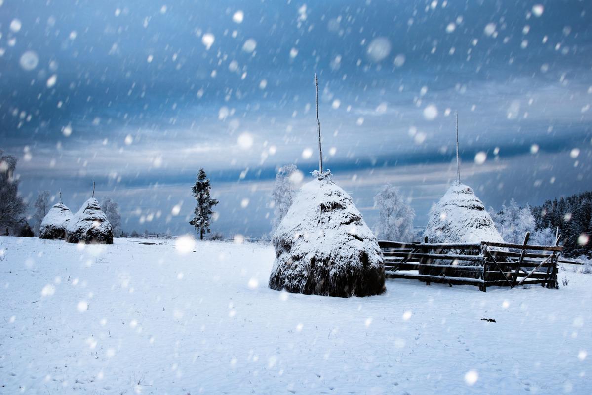 2021年大雪的说说（2023年的大雪，让我感受到了冬季的美丽）