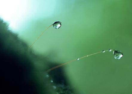 有关描写雨声的句子的句子摘抄（细听，雨声随处可寻）