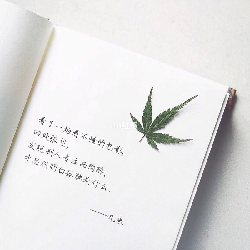 有关描写一个人坚强的句子的好句摘抄（坚强的灵魂）