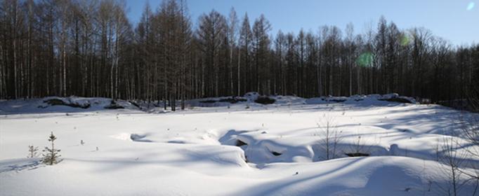 有关描写雪景的优美句子的好句摘抄（唯美雪景诗句）