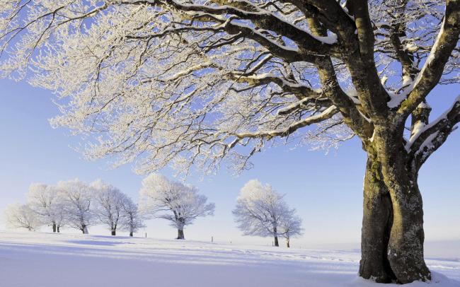 描绘雪景的短句（冬日雪景之美）