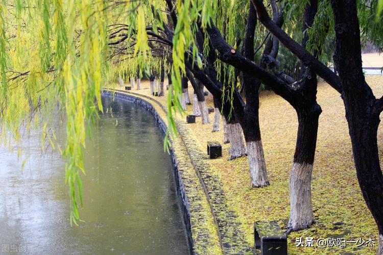 描写秋雨的唯美句子大全（秋雨悠悠）