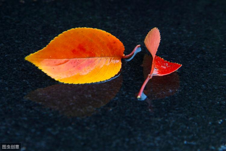 描写秋雨的唯美句子大全（秋雨悠悠）