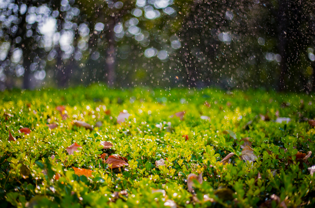 描写秋雨的精美短句（《秋雨落满人间》——探寻秋雨的诗意与美学）