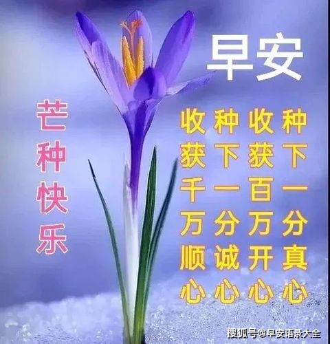 形容芒种的唯美句子（《芒种的祝福》）