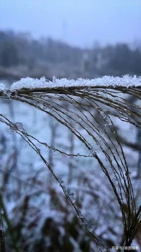 有关冬天的第一场雪的文案（白茫茫世界，洁白初心）