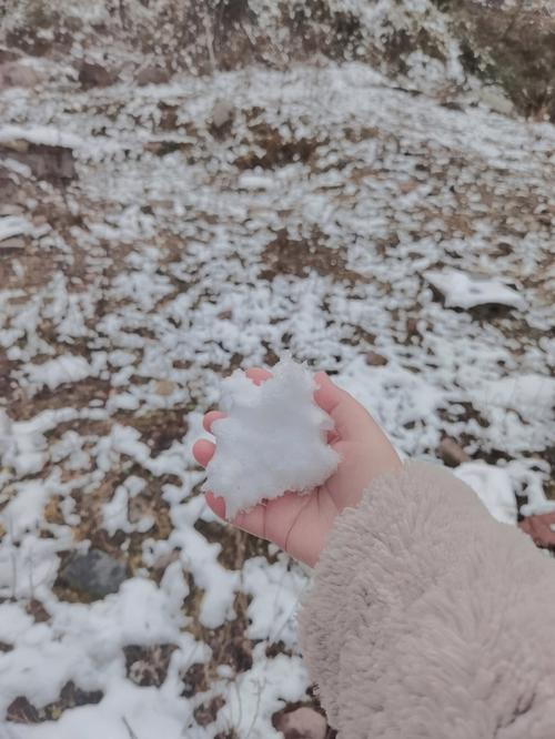 有关冬天的第一场雪的文案（白茫茫世界，洁白初心）