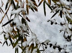 描述第一场雪的唯美句子（唤起内心最美的记忆）