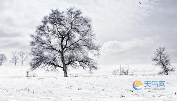 关于大雪节气祝福句子（白雪皑皑，喜迎大雪节气）