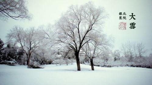 描写大雪天的好句（寒冬里，白雪纷扬；大自然为我们献上最美的一幕）