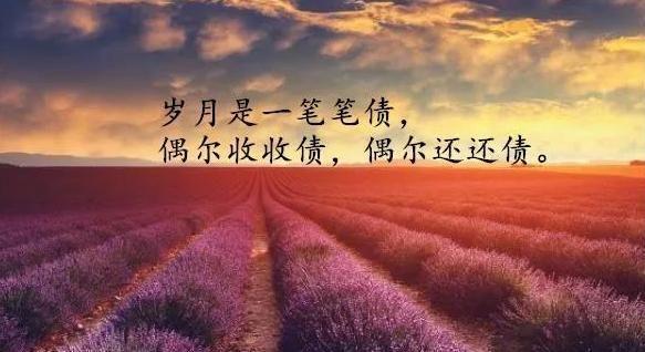 有关面对人生感悟的态度名言警句的句子摘抄（以名言警句为引，以唯美短句为景）