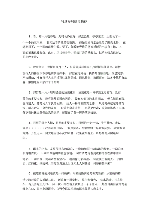 关于蜜蜂的好句摘抄（微小而伟大的生命之舞）