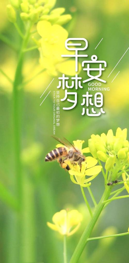 2020最新励志早安正能量的句子（《早安，阳光》）