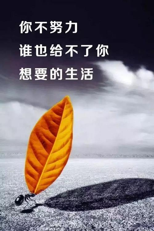 励志梦想语录经典短句（追寻梦想的路上）