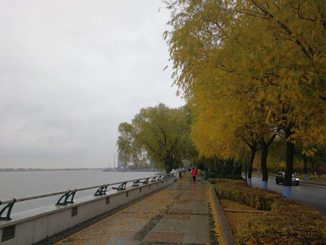 有关立冬的第一场雨说说的短句子（初雨如诗，添情入境）