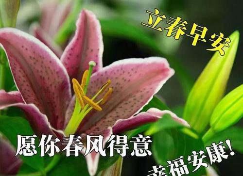 关于立春节气的说说和诗句（立春祝福语句子说说）