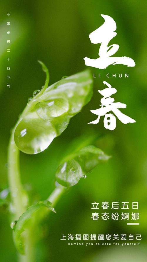 立春节气怎么发说说（《立春之际，祝你春暖花开》）