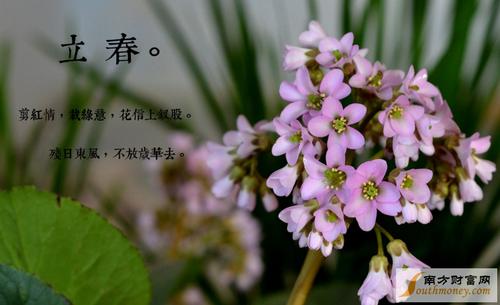 立春节气怎么发说说（《立春之际，祝你春暖花开》）