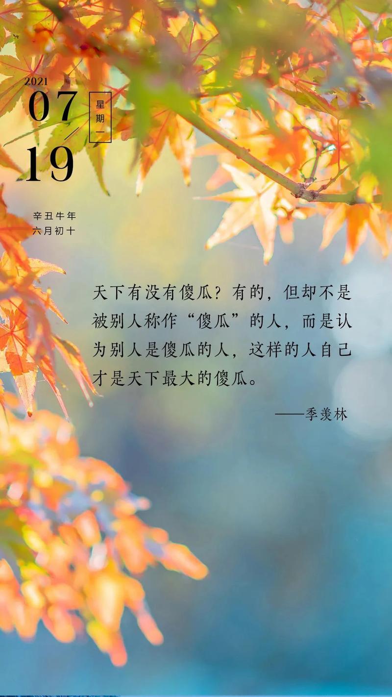 乐观的句子简短唯美有关乐观的句子（《阳光如此美好》）