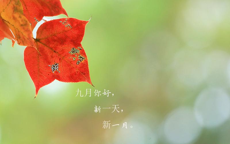 九月再见10月你好唯美句子说说（唯美短句，留恋秋日）