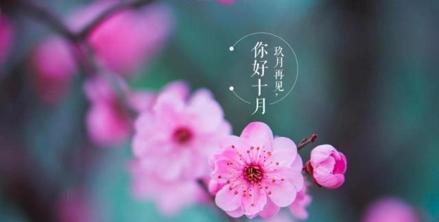 九月再见十月你好语录唯美句子（一季离别，一季相遇）